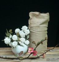 /album/producto/dsc1781-7marca-jpg/